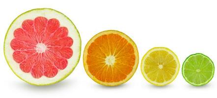 Zitrusscheibe Grapefruit Orange Zitrone und Limette foto