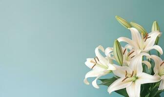 elegant Lilien Verbreitung über ein still Licht Blau Hintergrund. ai generativ foto
