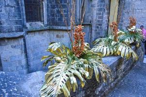 Blumenfest in Girona Temps de Flors, Spanien. 2018 foto