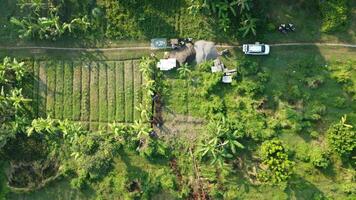 groß Felder zum Gartenarbeit foto