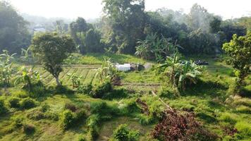 groß Felder zum Gartenarbeit foto