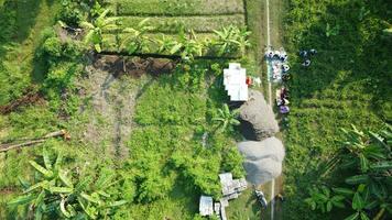 groß Felder zum Gartenarbeit foto