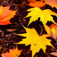 Herbst orange, Blätter fallen abstrakt Hintergrund, Blatt zufällig Element draussen ai generativ foto