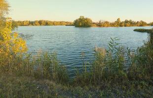 schöne Herbstlandschaft mit See und mehrfarbigen Bäumen. malerischer Ort mit See und hohen Bäumen foto