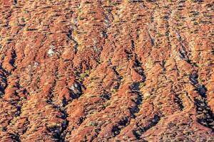 ein rot Felsen Formation mit ein wenige Bäume im das Vordergrund foto