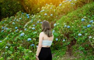 schön Mädchen im ein natürlich Blume Kindergarten. Porträt von jung Frau im ein Hortensie Feld. Frau im ein Hortensie Garten. el Crucero - - Managua, Nicaragua foto