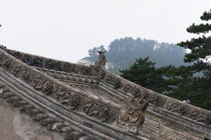 Dach mit Steinschnitzerei im heiligen taoistischen Berg Mount Huashan China foto