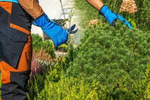 kaukasisch Arbeiter durchführen Garten Instandhaltung foto