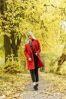 ein jung blond Frau Spaziergänge um das Herbst Stadt im ein rot Mantel. das Konzept von städtisch Stil und Lebensstil foto