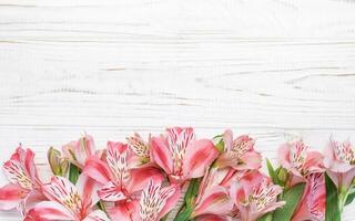 schön Alstroemeria Blumen auf hölzern Hintergrund foto