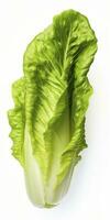 Grüner Salat isoliert auf Weiß Hintergrund. ai generiert foto