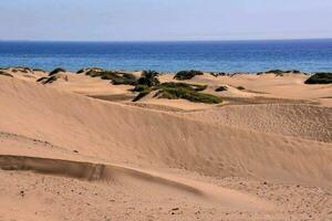 Sand Dünen und Ozean im das Hintergrund foto