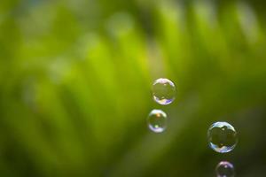 Wasserblasen, die auf grünen Blättern schwimmen und fallen foto