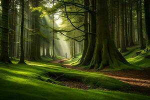 ein Pfad durch ein Wald mit Bäume und Gras. KI-generiert foto