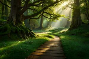 ein Pfad durch das Wald mit Sonnenlicht leuchtenden durch das Bäume. KI-generiert foto