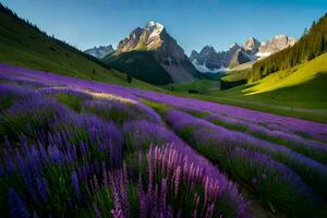 das Lavendel Felder von das Berge. KI-generiert foto