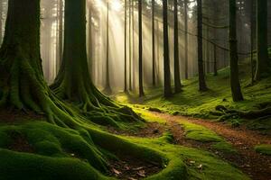 ein Pfad durch ein Wald mit moosig Bäume. KI-generiert foto