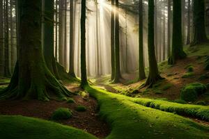 ein Wald mit Bäume und moosig Boden. KI-generiert foto