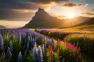 das Sonne steigt an Über ein Feld von lila Blumen und Berge. KI-generiert foto