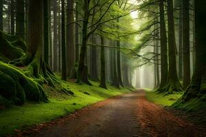 ein Pfad durch ein Grün Wald mit Bäume und Moos. KI-generiert foto