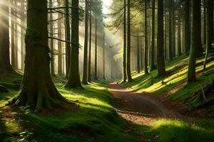 ein Pfad durch ein Wald mit Sonnenstrahlen leuchtenden durch das Bäume. KI-generiert foto