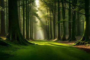 ein Pfad durch ein Wald mit Bäume und Sonnenlicht. KI-generiert foto