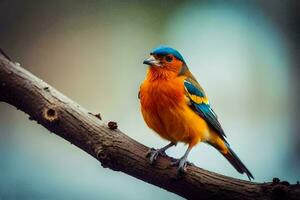 Foto Hintergrund Vogel, das Himmel, das Vogel, das Vogel, das Vogel, das Vogel,. KI-generiert