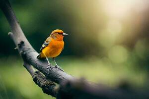 ein klein Orange Vogel ist Sitzung auf ein Ast. KI-generiert foto