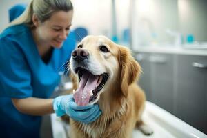 Hund beim ein Tierarzt geplanter Termin im ein modern Veterinär Klinik. ai generativ foto