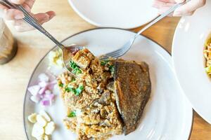 gebraten Reis mit knusprig Gourami Fisch - - asiatisch Essen Stil. traditionell Thailand Essen, foto