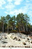 Baltikum Meer Landschaft foto