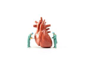 Miniatur Arzt Überprüfung und Analyse Herz Modell- auf Weiß Hintergrund, Wissenschaft und Medizin Konzept foto
