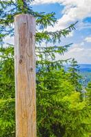 Wald mit Holzpfahl am Brocken Berg Harz Deutschland. foto