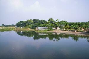 Betrachtung von Bäume im das See Wasser gegen das Blau Himmel Landschaft Landschaft im Bangladesch foto