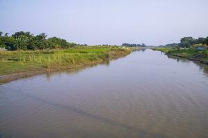 Kanal mit Grün Gras und Vegetation reflektiert im das Wasser in der Nähe von Padma Fluss im Bangladesch foto