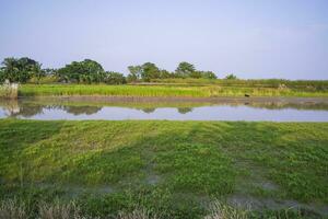 Grün Felder, Wiesen, und Blau Himmel Landschaft Aussicht mit Padma Fluss Kanal im Bangladesch foto