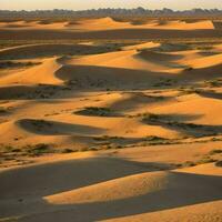 ai generativ Bild von Sand Dünen von Wüste im Tageszeit. foto