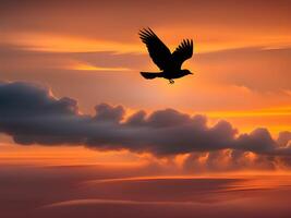 schön Sonnenuntergang Über das See mit Vogel foto