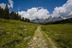 Alte Straße zwischen den grünen Weiden am Calaita-See in San Martino di Castrozza, Trento, Italien foto