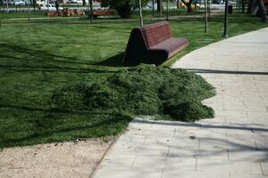 ein enorm Stapel von Grün gemäht Gras gemischt mit Blätter. foto