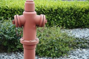 rot Feuer Hydrant im das Garten foto