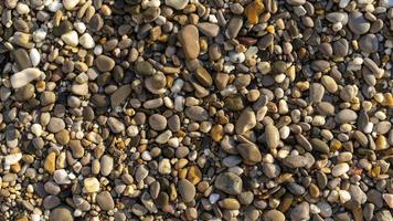 natürlicher Hintergrund mit kleinen Meereskieseln am Strand foto