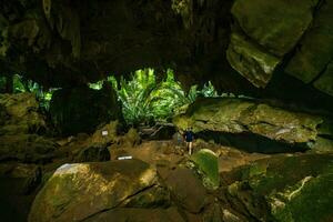 das Bäume Landschaft gefunden im das Höhle bekannt wie hup pa tat. ungesehen im Thailand. foto