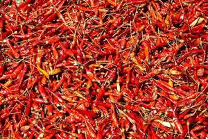 viele rote chili in papierbox in thailand foto