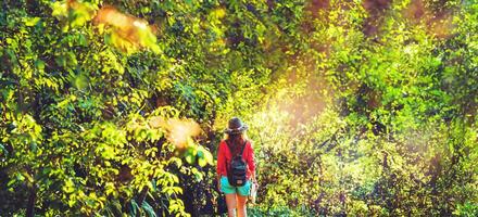 asiatische frau reisen natur. Reisen entspannen. lernen ein Buch lesen. Naturerziehung. im Sommer im öffentlichen Park. foto