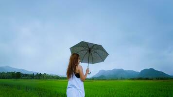 asiatische frauen reisen im urlaub entspannen. Die Frauen standen glücklich mit einem Regenschirm im Regen und genießen den Regen, der fällt. Reisen in Länder, grüne Reisfelder, Reisen durch Thailand. foto