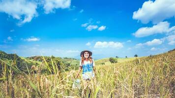 asiatische frauen reisen im urlaub entspannen. Übersichtskarte Bergfeld erweitern. Ernte Reis Ranch auf Hügel. Thailand foto