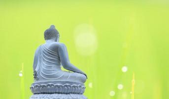 Buddha-Statue weiß auf natürlichem Hintergrundunschärfe foto
