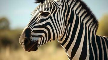 ein Zebra suchen beim das Kamera ai generiert foto