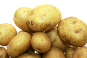 roh Kartoffel isoliert auf Weiß foto